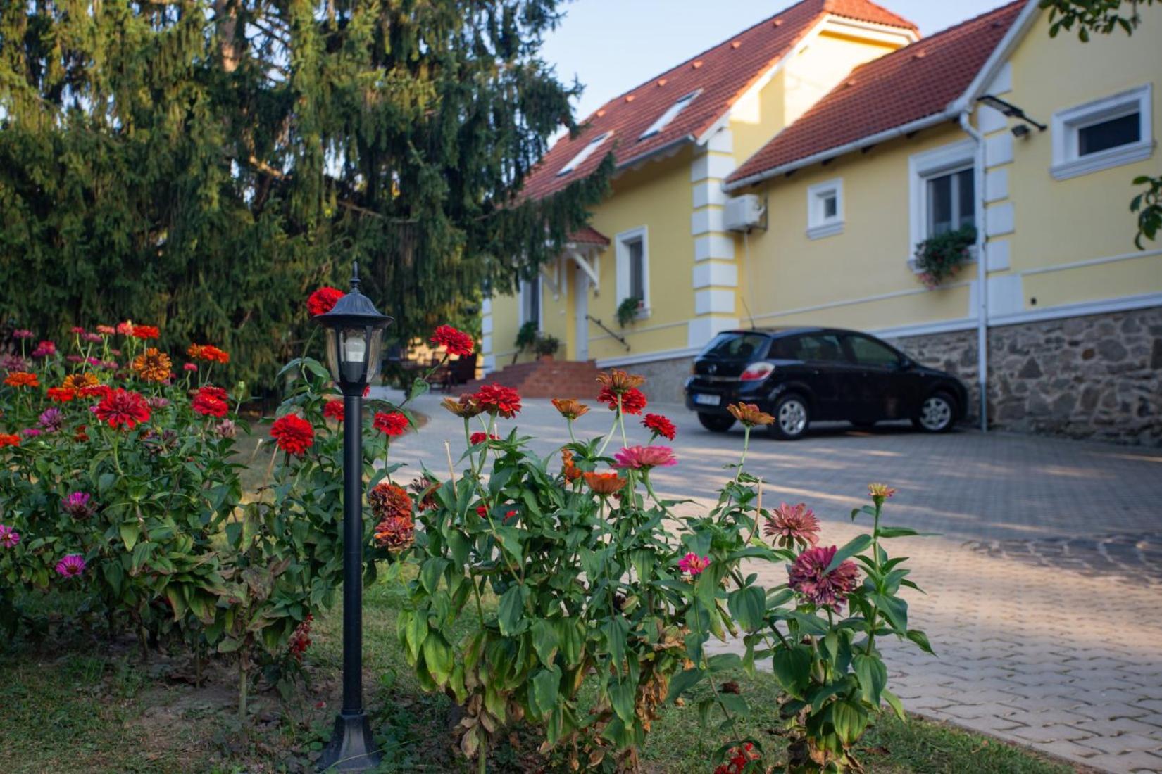Kondics Apartmanház Sárvár Exterior foto